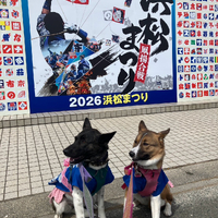画像250