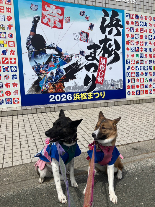 画像250