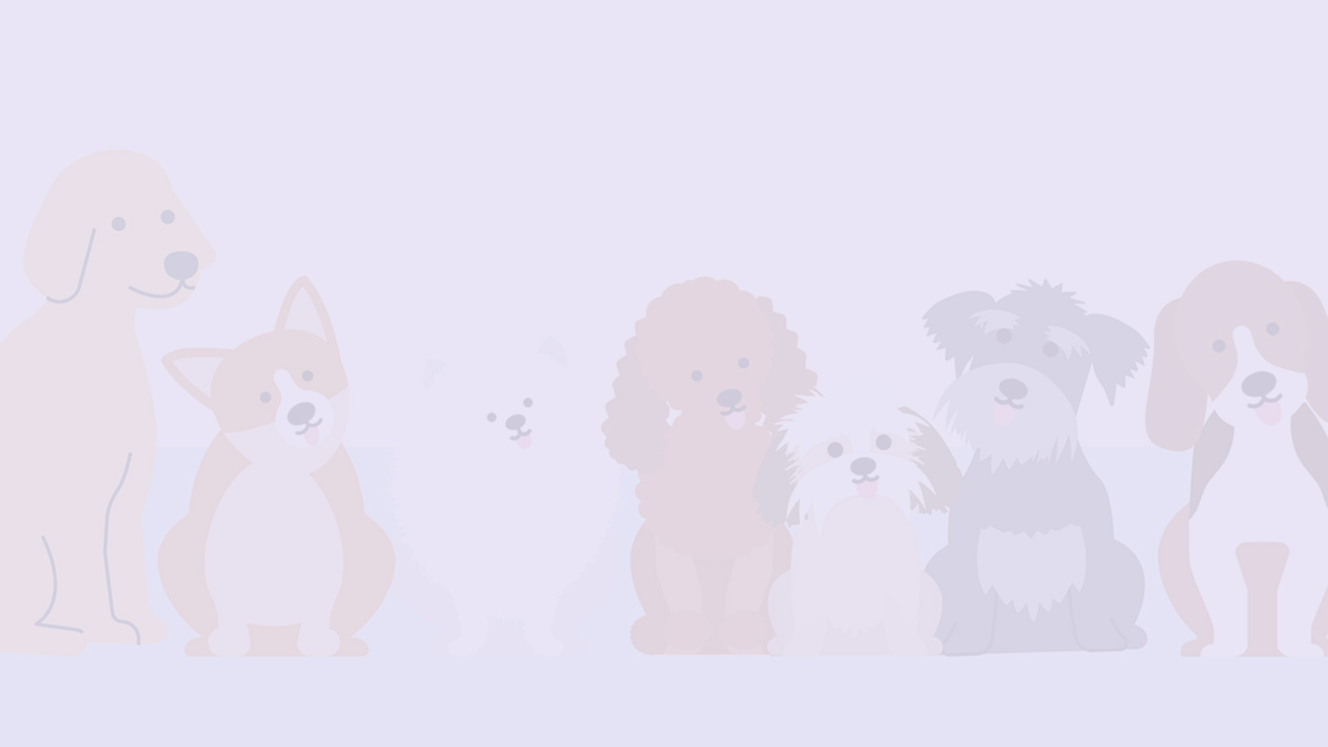 コンセプト